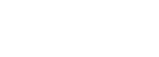Vivid Racing